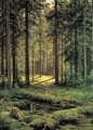 conifère forêt ensoleillée jour 1895 paysage classique Ivan Ivanovitch arbres